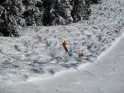 There's always some powder to be found