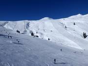 View of the two challenging downhill runs at Braunkogel