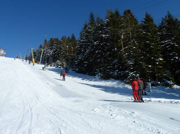 Bühlertallift 1 - T-bar