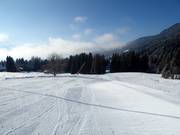 Valley run Lapins (Villars)