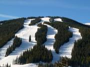 View of the slopes at Copper Mountain