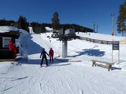 Sindretrekket - T-bar