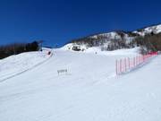 Slope Sonja No. 21 (Geilohovda)