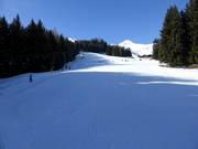 Slope Kreuzboden-Übungshang