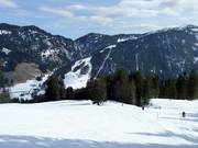 View from Schelpen to Riedberger Horn