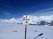 Forest and wildlife protection zones