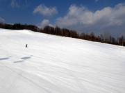 Easy and wide slope Family