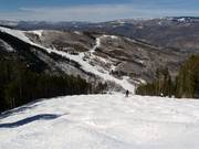 Mogul slope in Beaver Creek