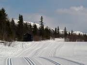 The cross-country trails start at Gaustablikk Høyfjellshotell