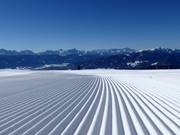 Perfect slope grooming on the Gerlitzen