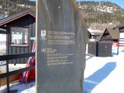 The winners of the 1994 Winter Olympic Games in Lillehammer