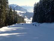 Valley run Tauplitz