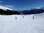 Easy slope at the Palius ski lift