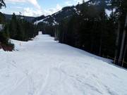 Groomed slope at Cypress Mountain