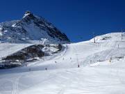 Slopes at the Alpkogelbahn