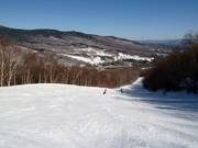 Wide forest clearing run