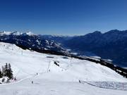 Slope Goldener Pflug