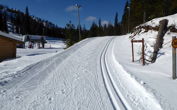 Cross-country skiing Northern Ostrobothnia (Pohjois-Pohjanmaa) – Cross-country skiing Ruka