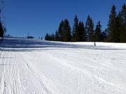 Groomed beginner slope at the Jochlift