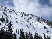 Deep powder slopes in Honeycomb Canyon