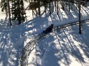 Tip for children  - Gold Runner Alpine Coaster