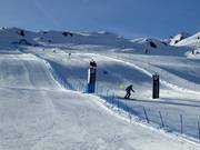 Skimovie - giant slalom course
