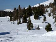 Schwarzsee High Moor Trail