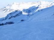 Slope Iceflyer at Titlis