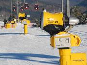 The cannons are particularly densely positioned along the slope next to the cable car.