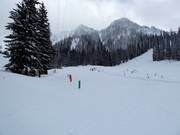 Practice slope at Hummer Handle Tow