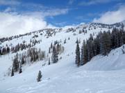View of the slopes at the Blackfoot Lift