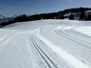 Cross-country ski trails at the Danusa mountain station