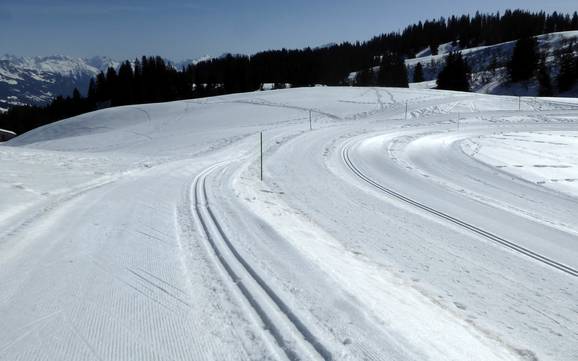 Cross-country skiing Prättigau – Cross-country skiing Grüsch Danusa