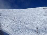 Powder tracks in the upper area of the ski resort