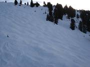 Mogul slope on the Rosenalm