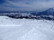 Intermediate slope Wonderland (Nseko Village)