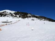 Easy slopes in the Horbergtal at the Mittertrettlift