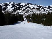 Horneggli-Schönried slope