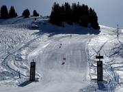 BMW xDrive Skimovie at Saanerslochgrat