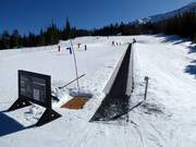 Big Sky Carpet Surface Lift 6 (Pea Shooter) - People mover