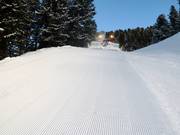 Snow groomer at work