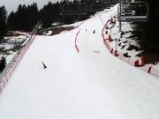 Downhill Stade de Slalom