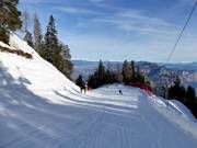 Dosso Larici descent