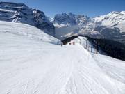Lauberhorn World Cup Downhill
