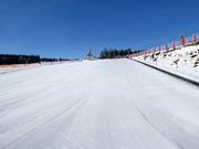 Beginner area in the ArBär Kinderland