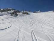 Freeride area next to the Haita run