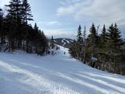 Forest glade runs in the Killington ski area