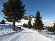 Wolf Trail/Wolfspfad