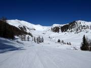 Between Grosseck and Speiereck