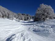 Ski route No. 20 Chapf valley descent